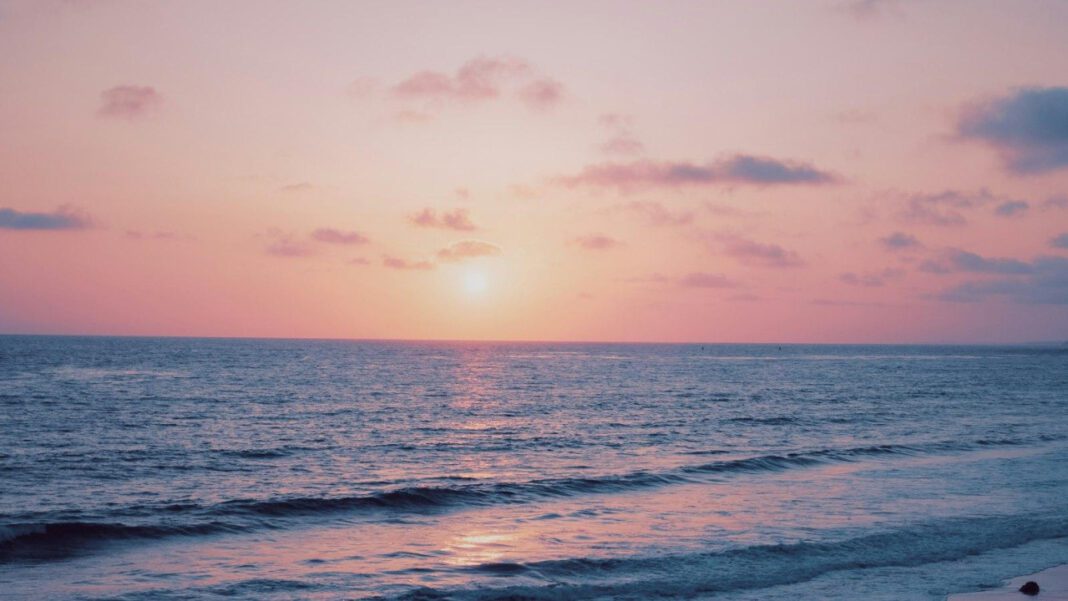 Indulge in your wildest dreams with the magic of fantasize