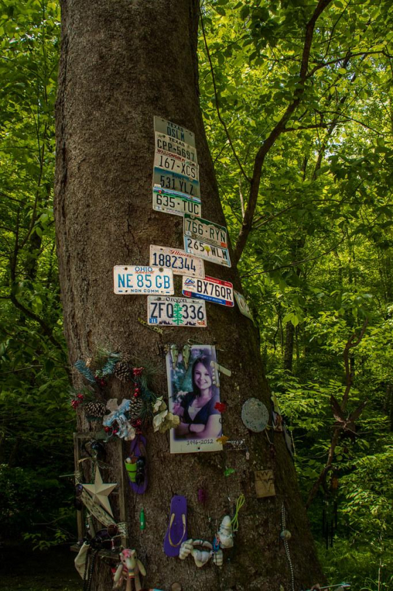 Skylar West Virginia: A Brief Biography