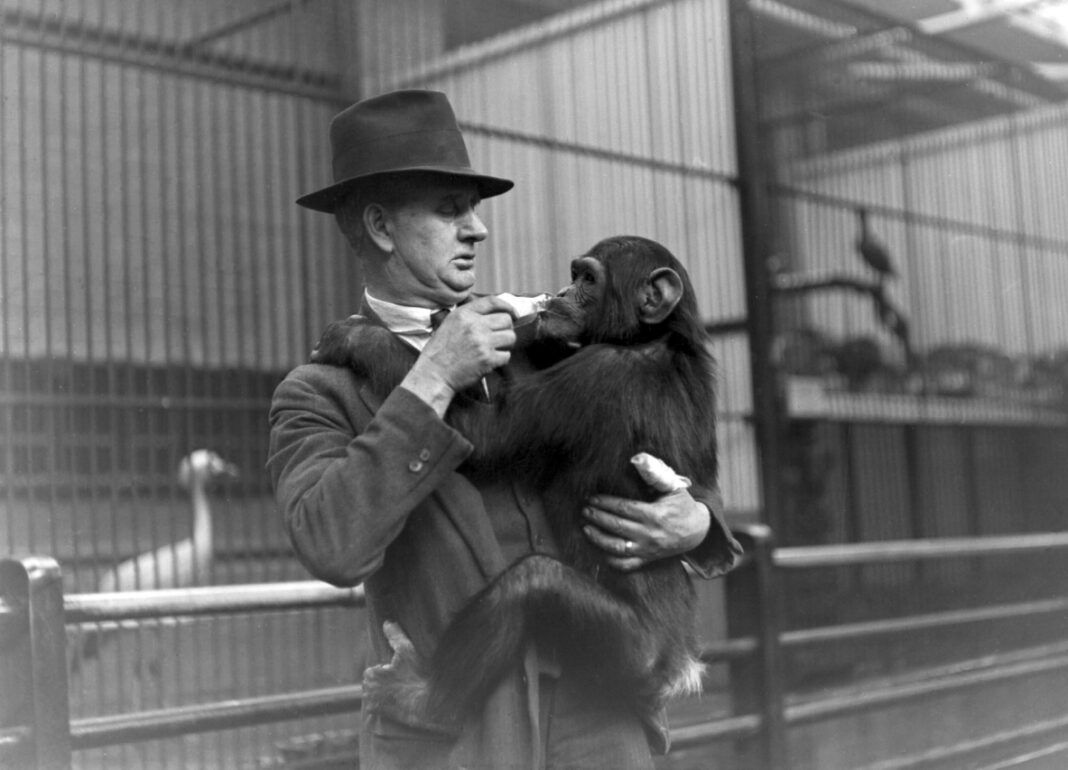 Elegant Bonobos Suits: The Perfect Choice for Sophisticated Style