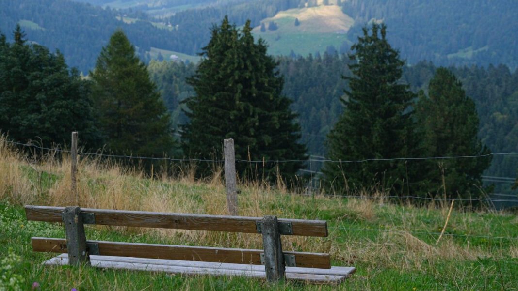 Enchanting Callanwolde: A Romantic Haven for Art Lovers