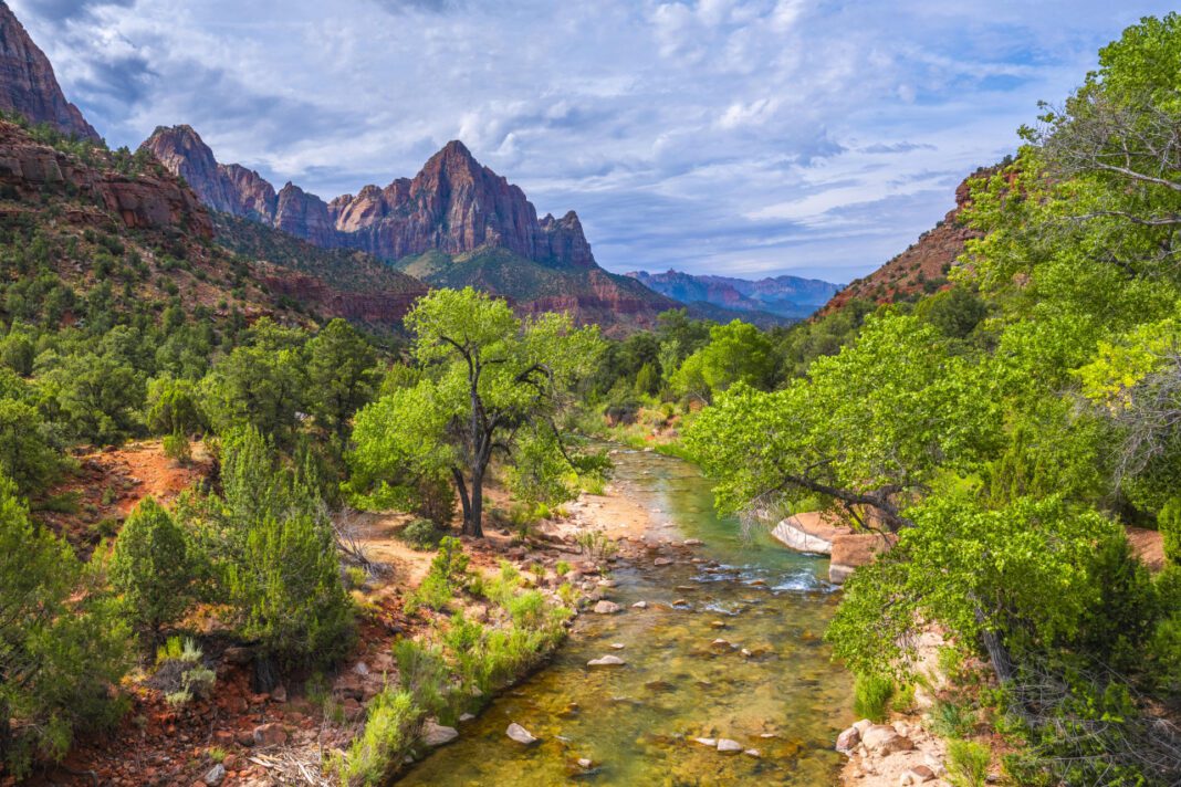 Discover True Love: A Journey to Find Your Soulmate