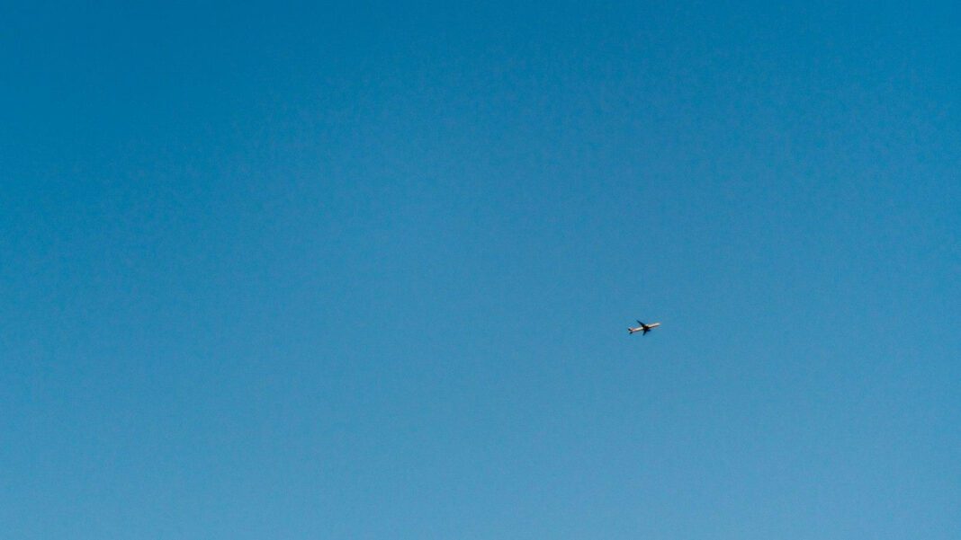 Enigmatic Blue Chicken: A Brief Biography