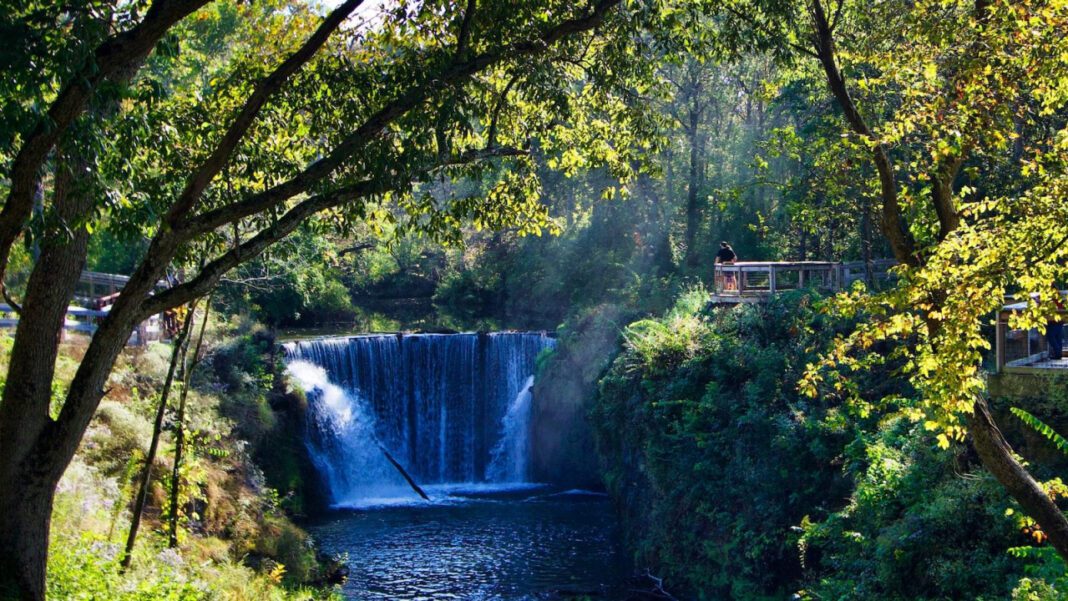 Top Northeast Ohio Eye Surgeons: Expert Care