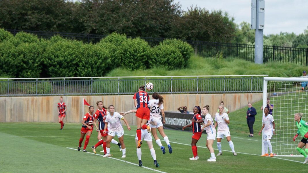 Ashley Perkins: Rising Star in the Art World