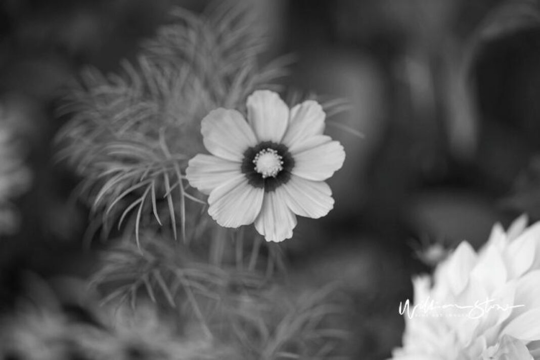 Managing Lack of Attraction in Marriage