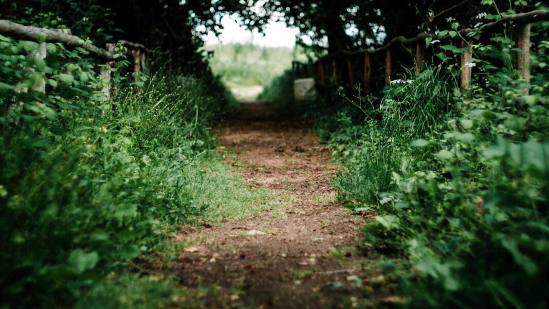 May Month: A Guide to Celebrating Springtime