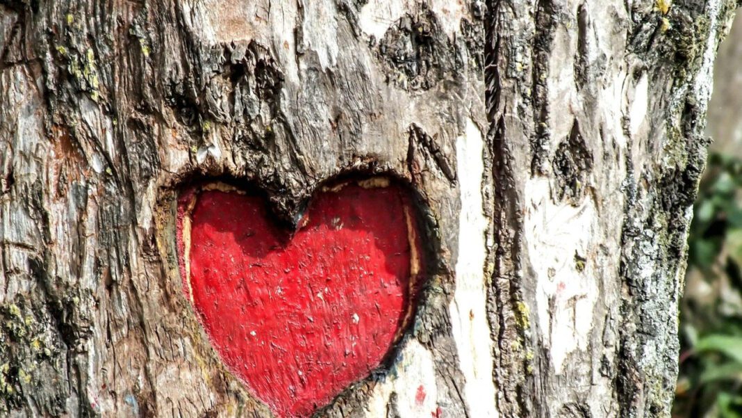 Discover January’s National Holidays: A Fun Way to Celebrate