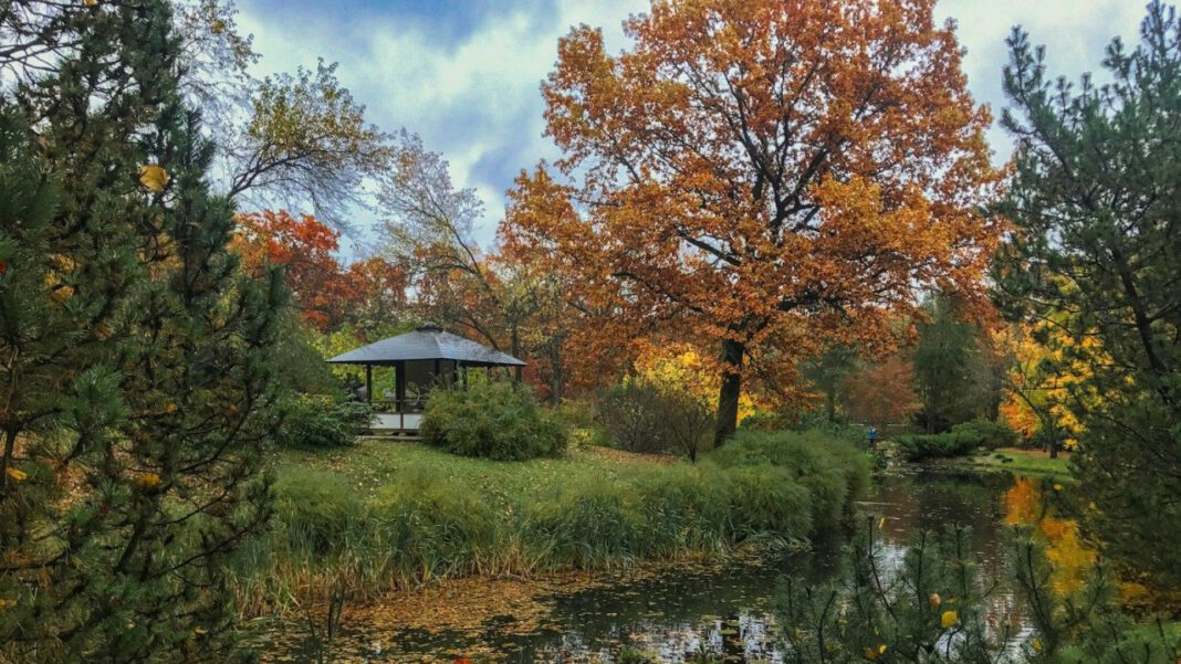 Unveiling September’s Mystery Holiday