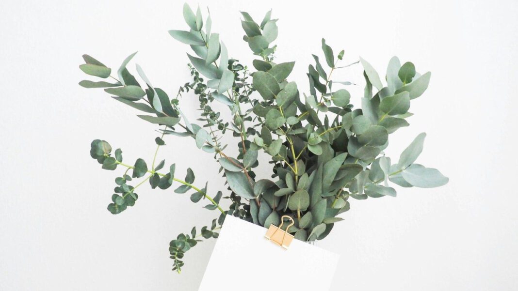 Spark the Romance: 4th Anniversary Gifts for Her