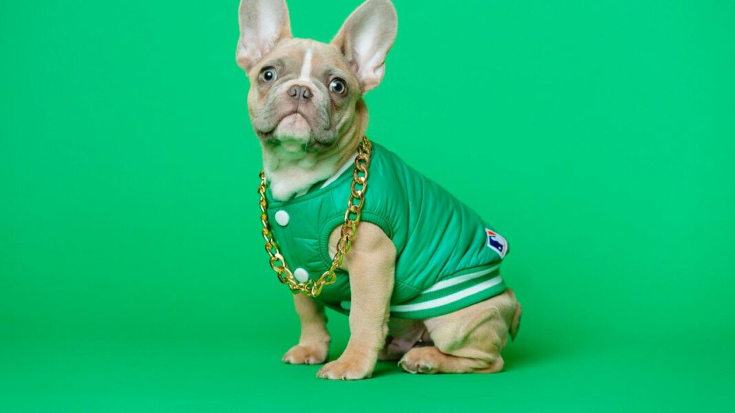 Get Ready to LOL with These Hilarious Film Title Examples