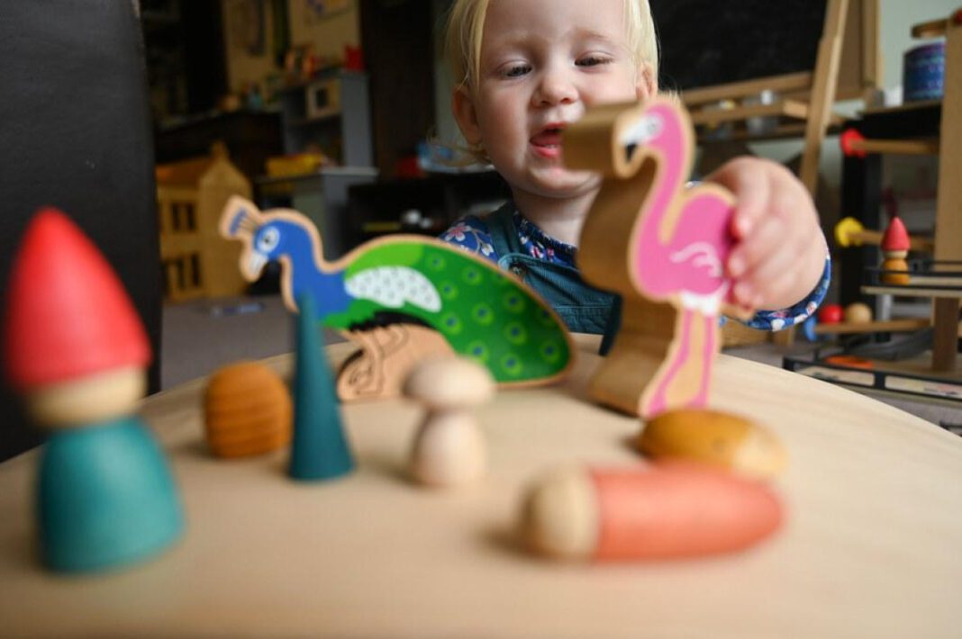 The Benefits of Wooden Dog Chew Toys: A Comprehensive Guide