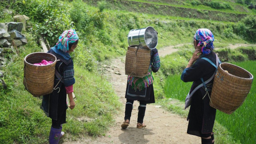 Can Abusers Truly Change? Exploring the Possibility