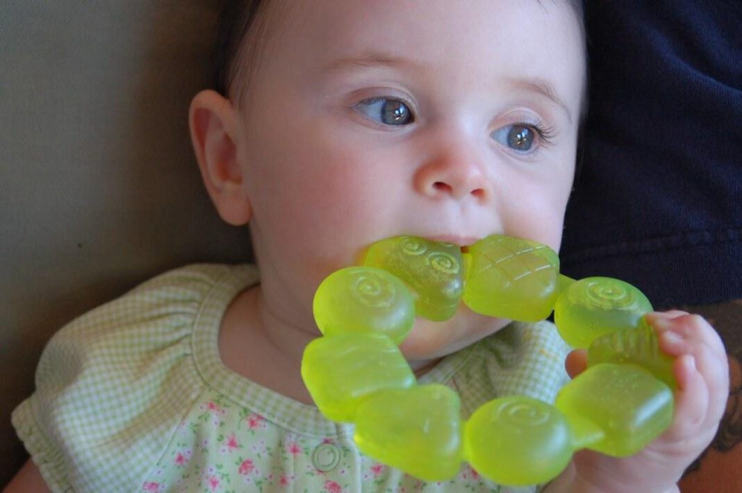 Best Teething Rings for Puppies: A Comprehensive Guide
