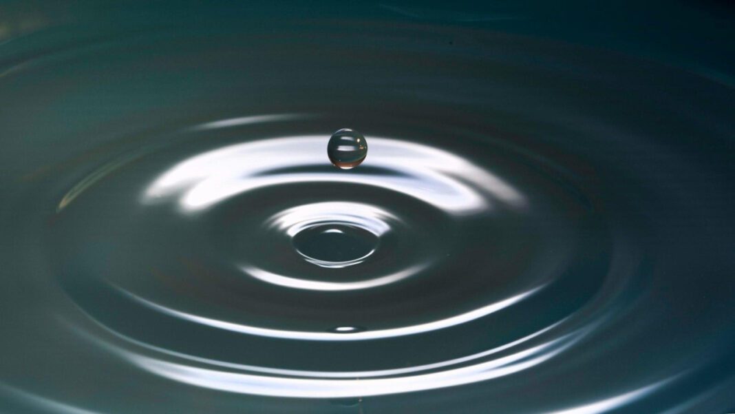 The Impact of a Wife Hating Her Husband