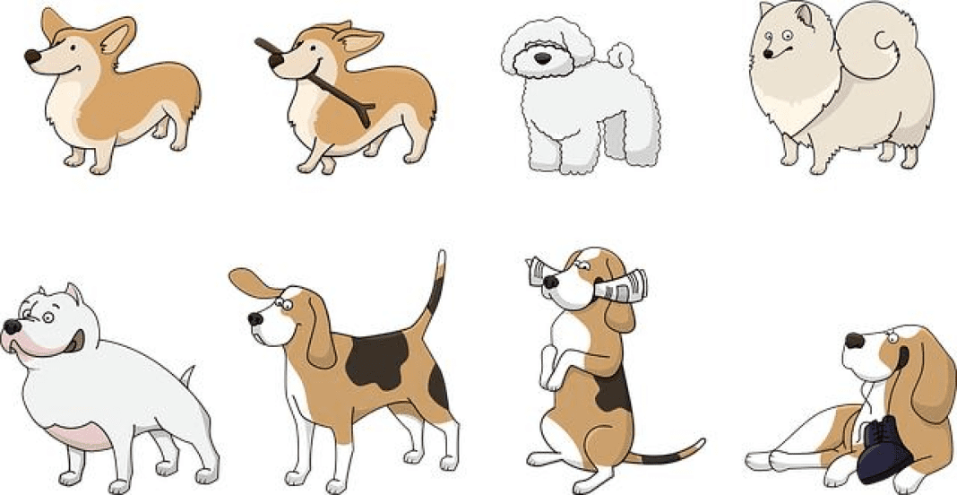 Top 10 Dog Breeds: A Comprehensive Guide