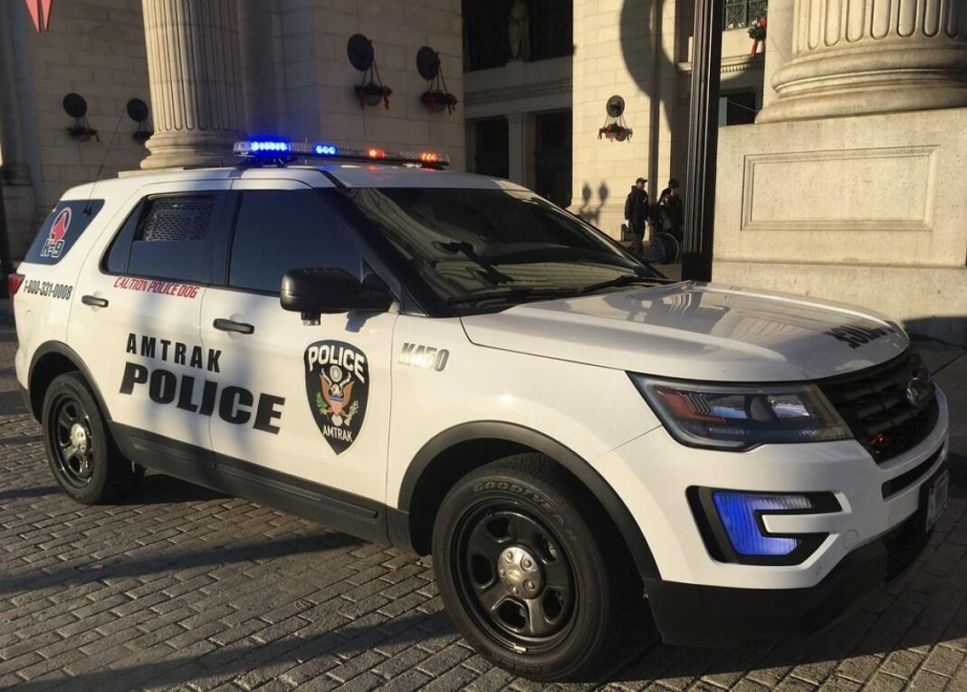 The Role of Police K-9 Dogs: Effective Law Enforcement Partners