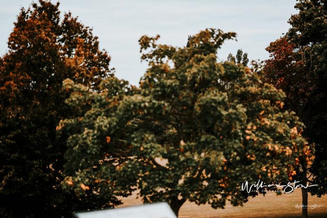 The Impact of Husband Flirting: Understanding the Consequences