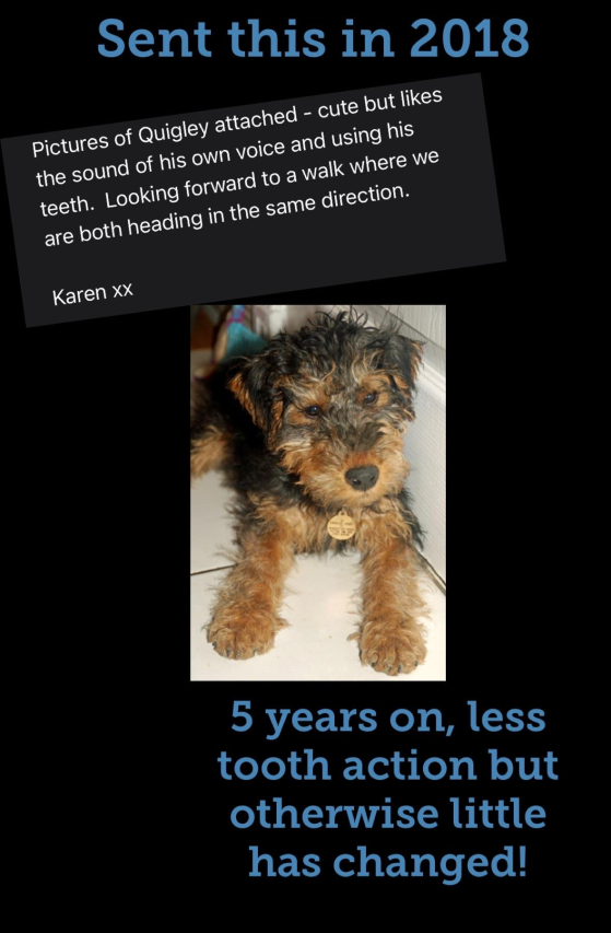 Top Dog Apps: The Ultimate Guide to Canine Technology