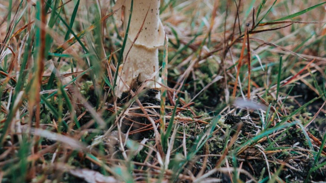 Unlocking the Magic of October 17 Holidays!