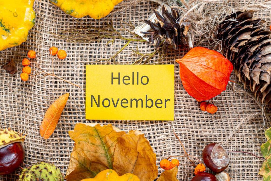 Unforgettable November: Celebrating Special Days