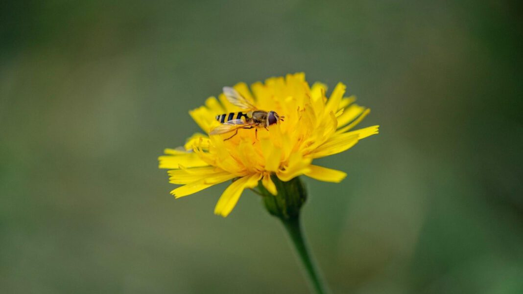 May 10: National What Day? Top Celebrations Revealed!