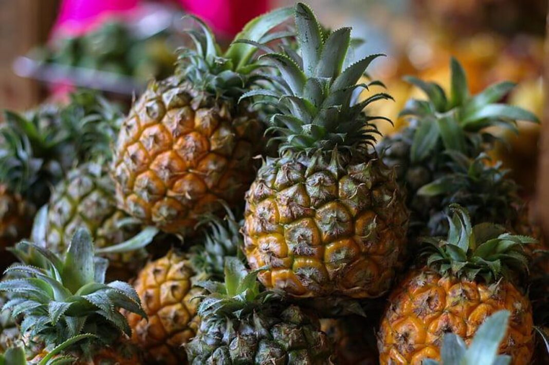 Get Ready to Celebrate Pineapple Day: A Juicy and Sweet Fest!