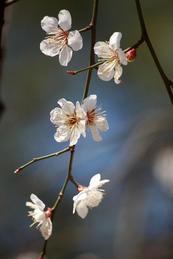 Embrace the April Days of Observance: An Engaging Guide