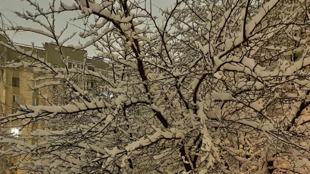 Unleash the Fun: January 18 Holidays Explained