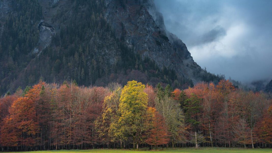 Unlocking the Mystery of October’s National Month