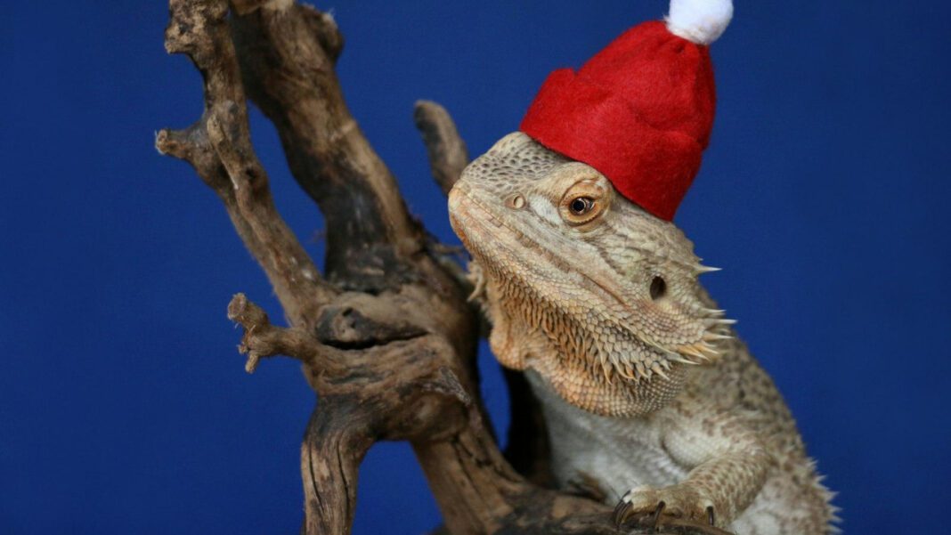 Unveiling December 21: What Holiday is it