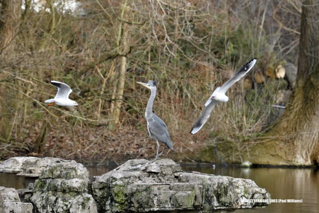 Unlocking the Mystery: What Day is January 1st