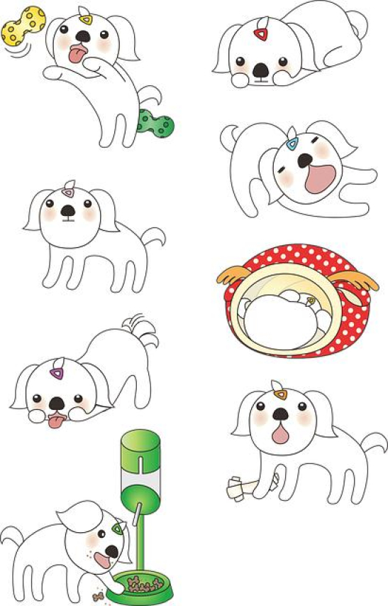 The History and Characteristics of the Maltese Dog from Malta