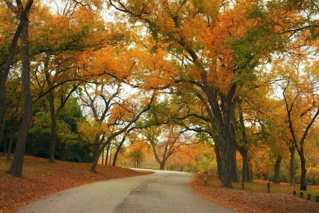 November: The Month of Remembrance and Reflection