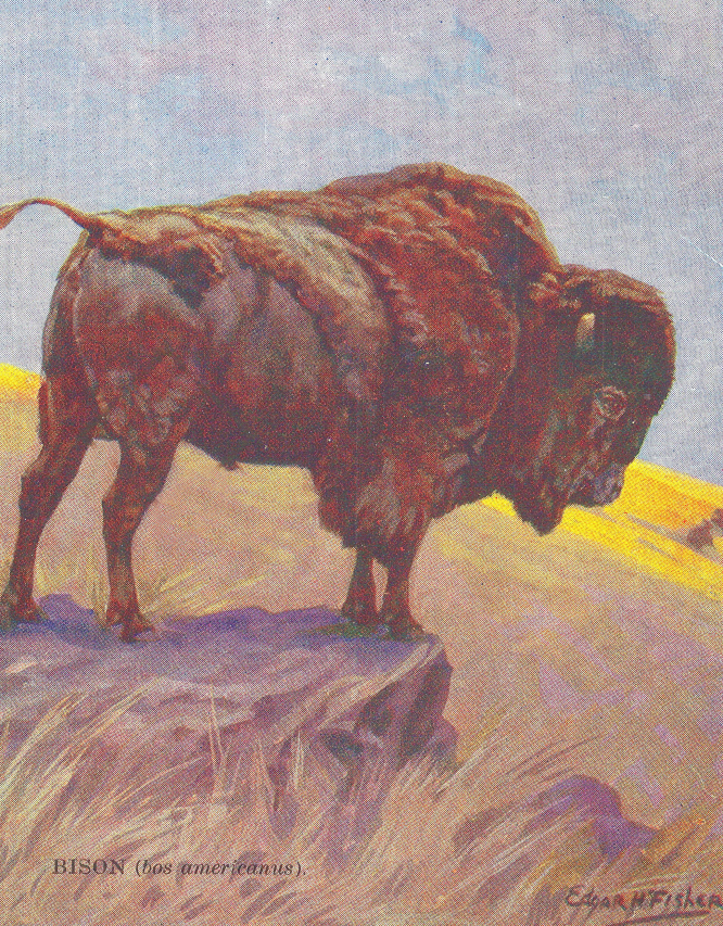 Ultimate Guide to 200 Pound Dog Breeds: Size, Traits & Care