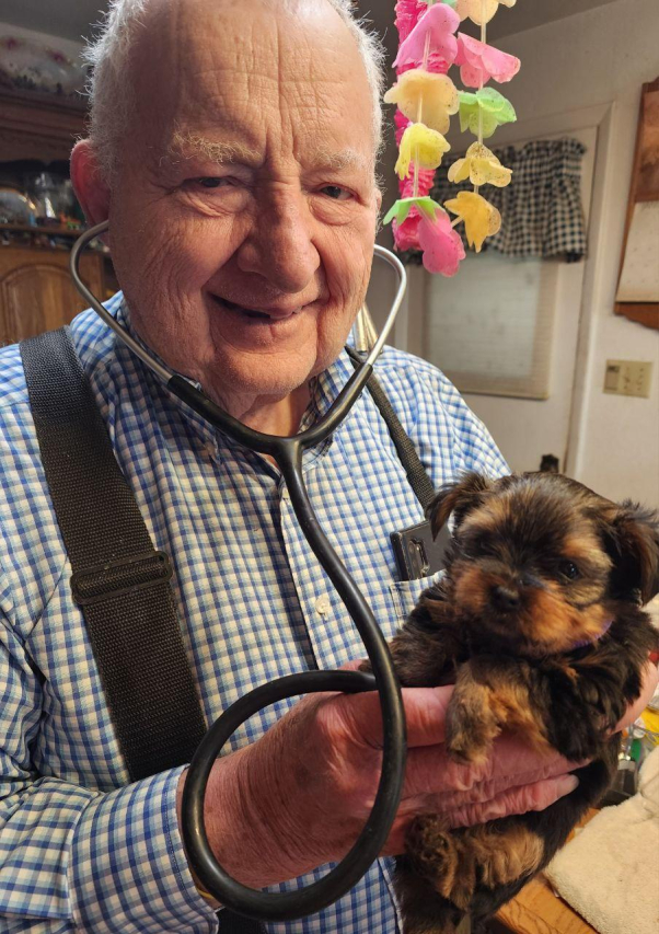 Do Puppies Drool When Teething? Exploring the Facts