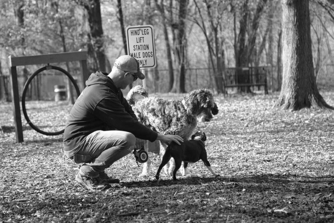 Best Natural Chews for Puppies Under 3 Months: A Comprehensive Guide