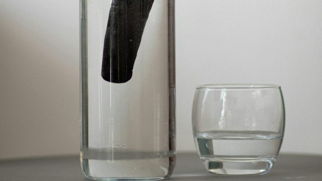 Maximizing Hydration: The Benefits of Dog Water Additive