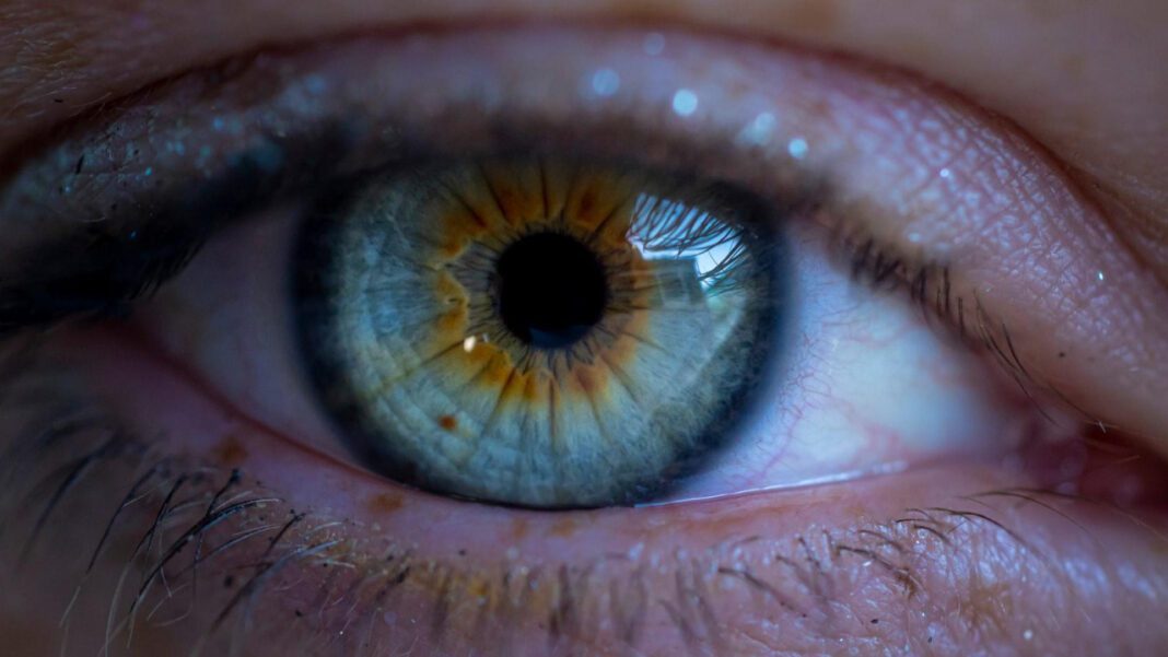 Unveiling the Enigmatic Appeal of Sexy Wednesday Adams