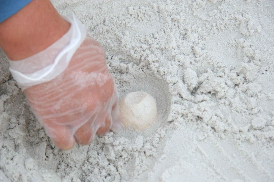 Uncovering What Men Enjoy in Sexual Relationships