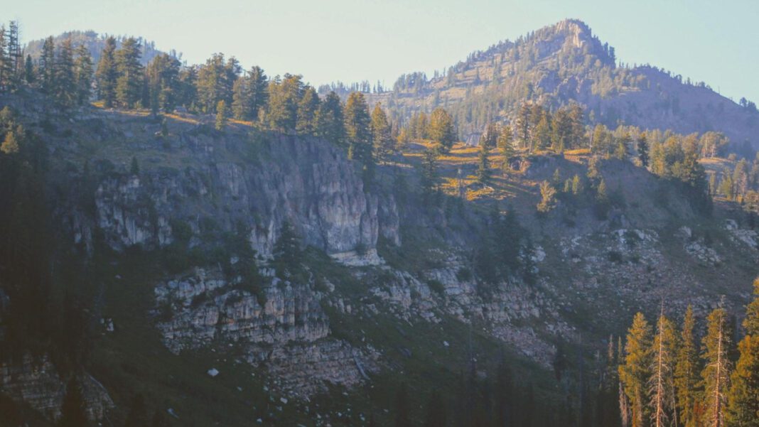 Discover the Power of Tony Robbins’ Success Quotes