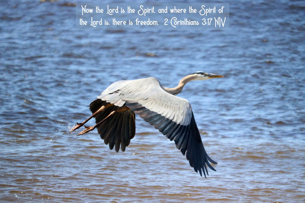 Discover Eternal Hope with Love Quotes