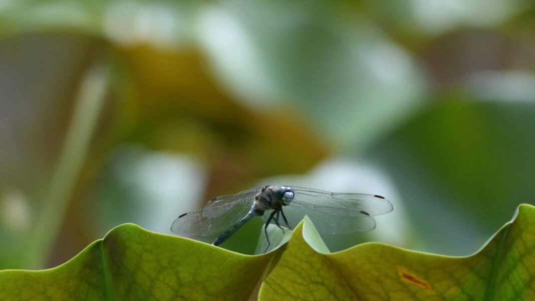 Discover the Multifaceted Expressions of Your True Self