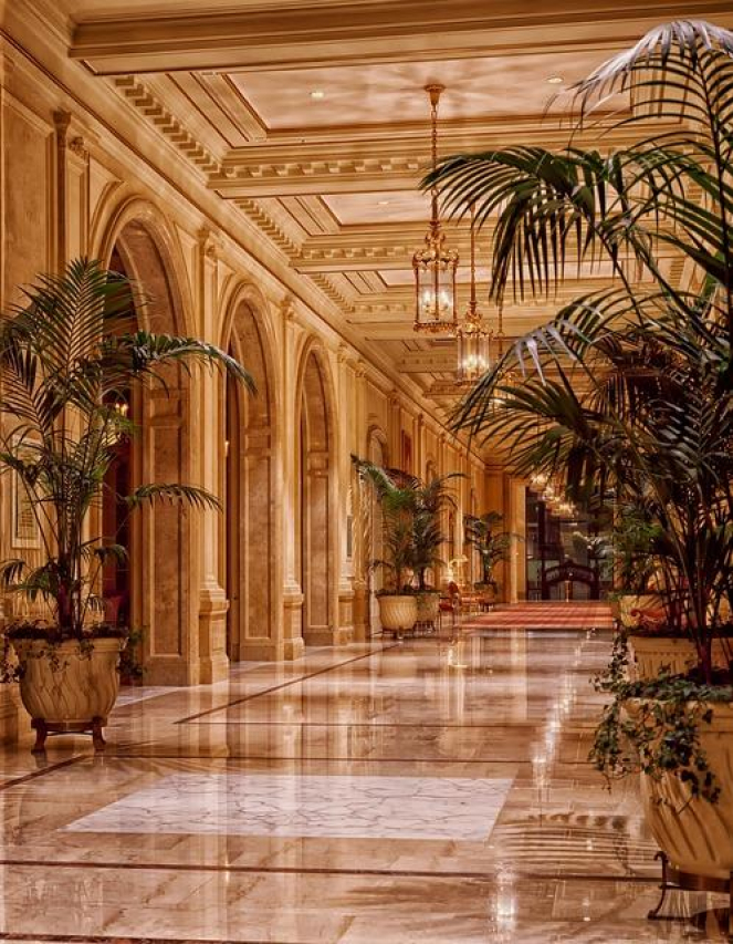 Comparing the Pros and Cons of Hotels vs Apartments