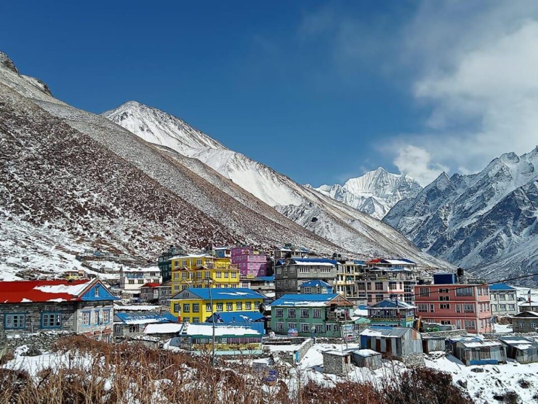 The Ultimate Guide to Vectra 3D for Dogs 11-20 lbs: Everything You Need to Know