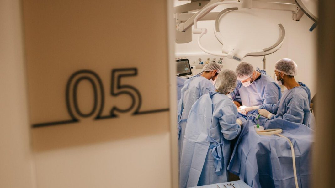 Optimizing Veterinary Hospital Design for Top Animal Care