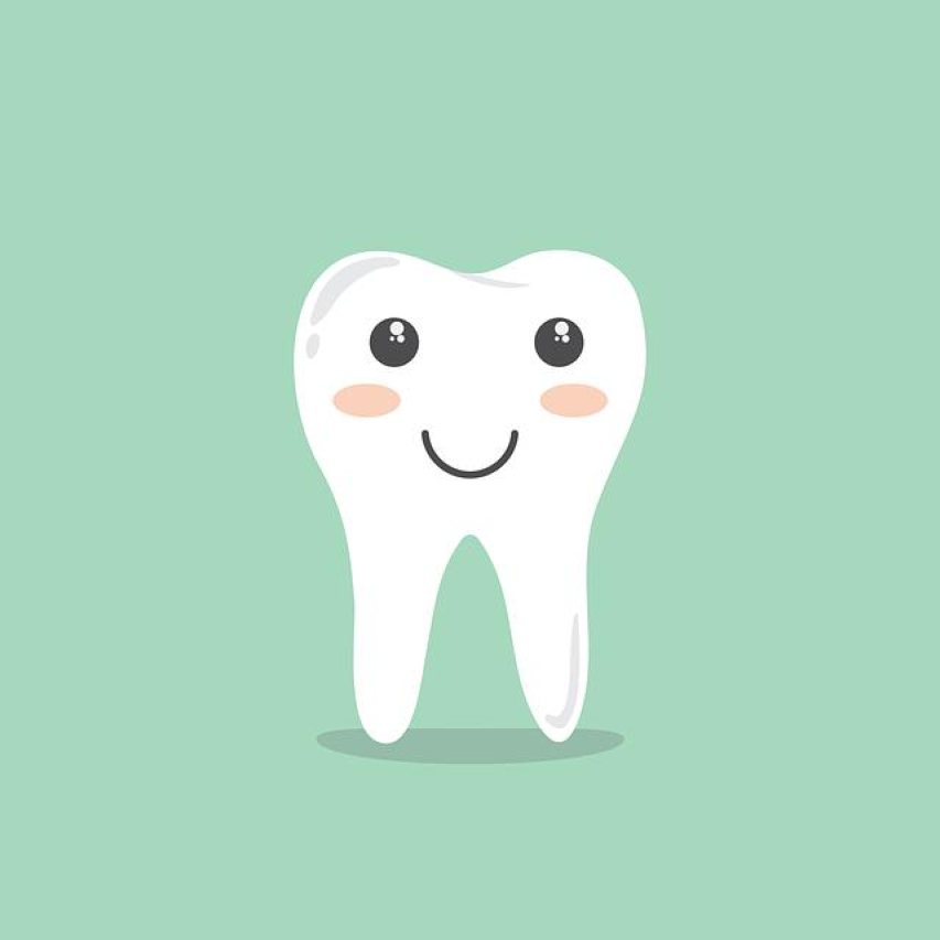 The Ultimate Guide to Virbac Cet Oral Rinse: Benefits, Usage, and Reviews