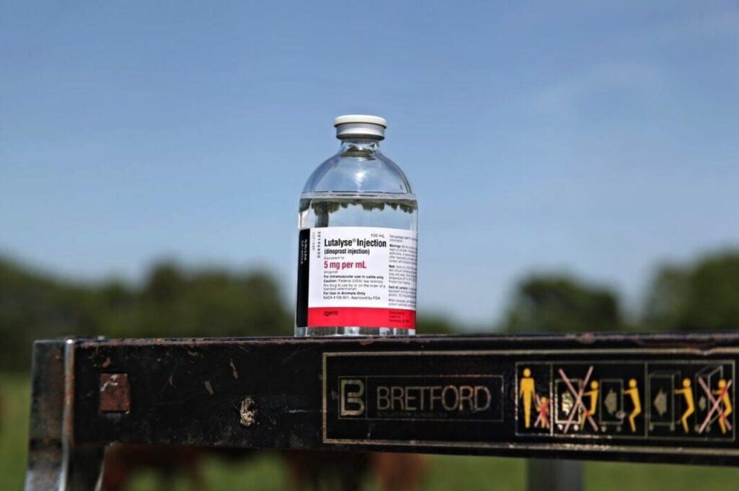 Lutalyse: Understanding its Uses and Benefits