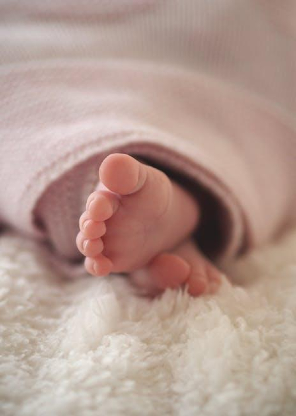 Understanding Newborn Puppy Eye Infections: Causes and Treatment