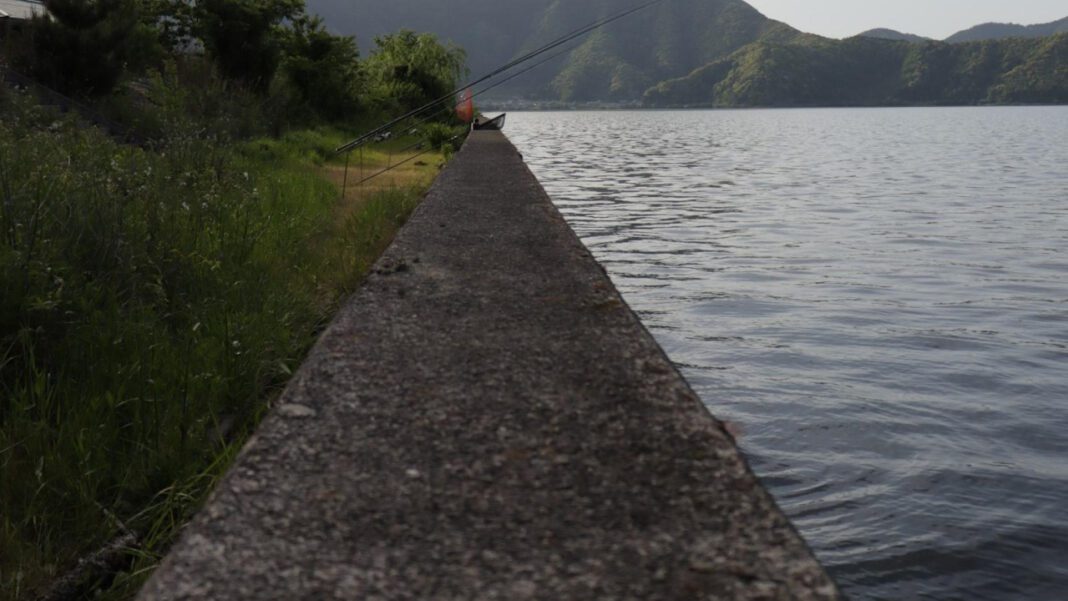 Understanding VTO Meaning: A Guide for Business Professionals